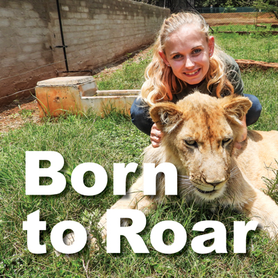 <p>BORN TO ROAR<br />
Judah’s Journey of Survival and Hope</p>
