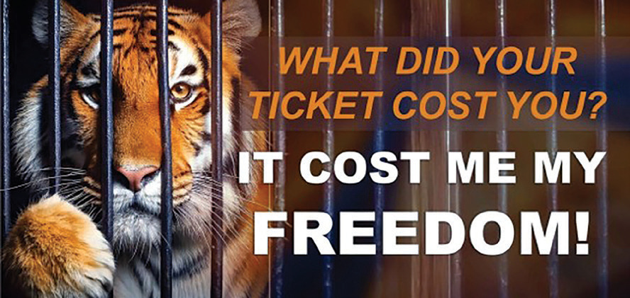 WELLBEING IS NOW RECOGNISED IN LAW, SO WHY ARE WILD ANIMALS STILL SUFFERING IN CIRCUS CAGES?